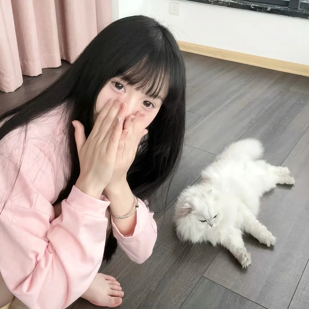 再见维也纳