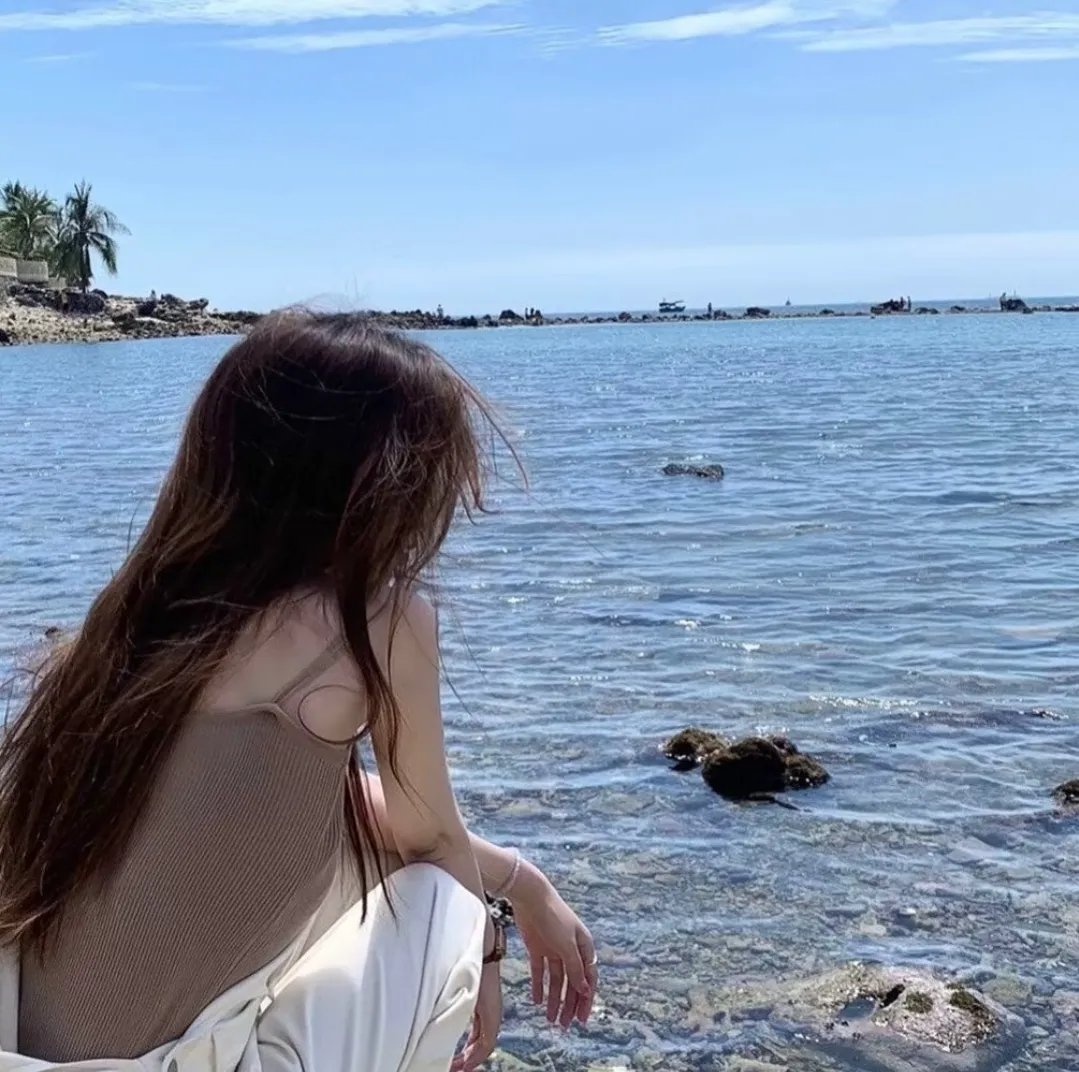 黑之契约者2:流星的双子